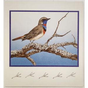 Lajitelma 1.luokan lintupostimerkkejä, nim. 22€