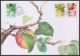 2014 FDC L. 2275 - 2277 Fruits