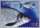 Finland, L.1633 ** Fish