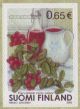 Finland, L.1669 ** Lingonberry