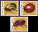 Aland L.259-61 ** beetles